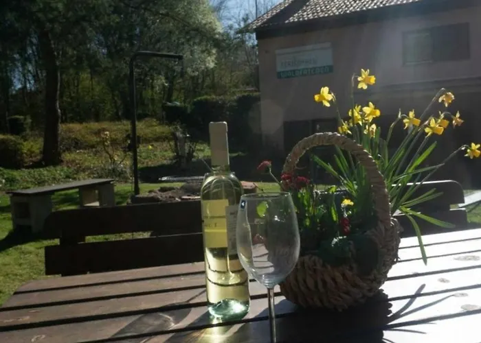 Haus Waldfrieden Eg 公寓